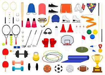 Collection of various sport icon illustration | Free stock vector - 462855