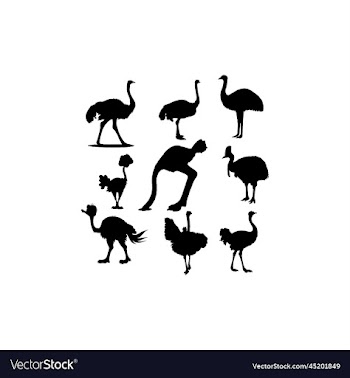 collection set bird ostrich design