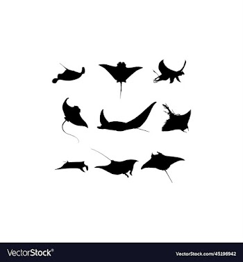 collection set mantaray fish design