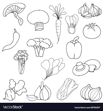 collection simplicity vegetable flat design