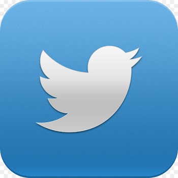 College of Charleston Logo Computer Icons - Free High Quality Twitter Icon 