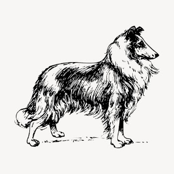 Collie dog drawing, hand drawn | Free Vector - rawpixel