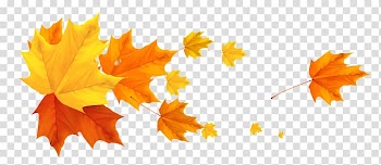 Color Banner Autumn Leaf, autumn leaves transparent background PNG clipart