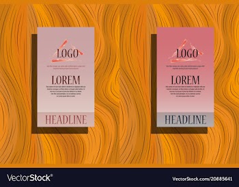 Color brochure template design cover layout vector image