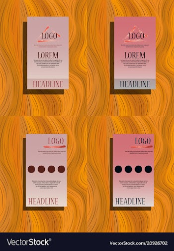 Color brochure template design cover layout vector image