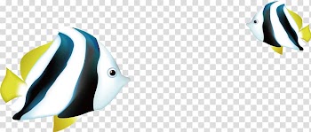 , Color fish transparent background PNG clipart