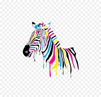Color Graphic design - Color Zebra 