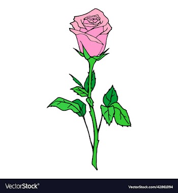 color graphic drawing of one pink rose on a white