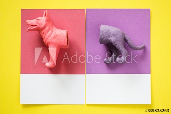 Color miniature dog figure model