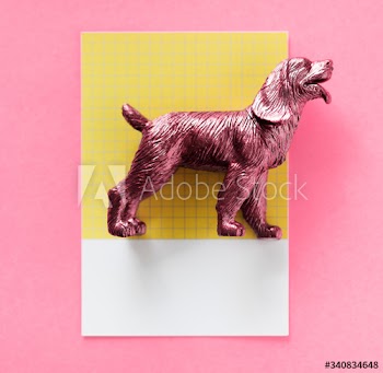 Color miniature dog figure model