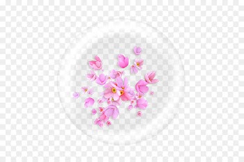 Color Transparency and translucency Clip art - flower 