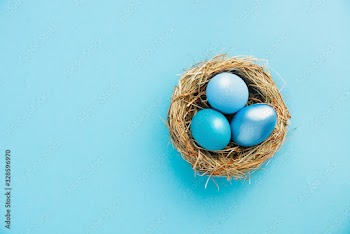 colored blue and azure Easter eggs in nest top view background, selective focus image. Happy Easter card