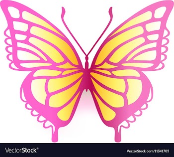 Colored butterfly logo vector image