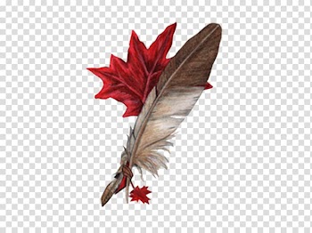 , Colored feathers transparent background PNG clipart