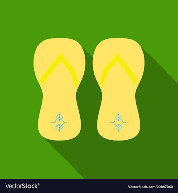 Colored flipflops icon slippers icon flip flop vector image