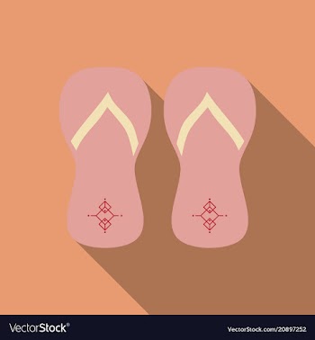 Colored flipflops icon slippers icon flip flop vector image