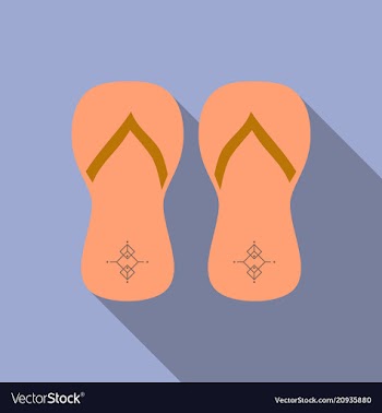 Colored flipflops icon slippers icon flip flop vector image