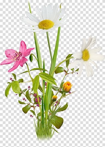Colored floral design transparent background PNG clipart