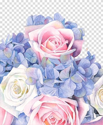 Colored flowers transparent background PNG clipart