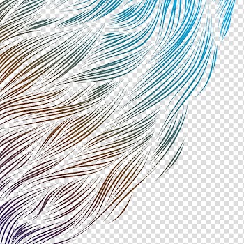 , colored hair transparent background PNG clipart