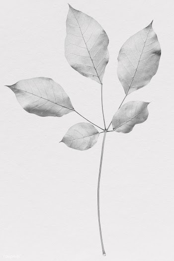 Colored leaves | Free stock illustration - 1203907