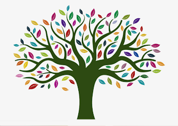 Colored Leaves Of The Tree, Tree Clipart, Plant, Color PNG Image ...