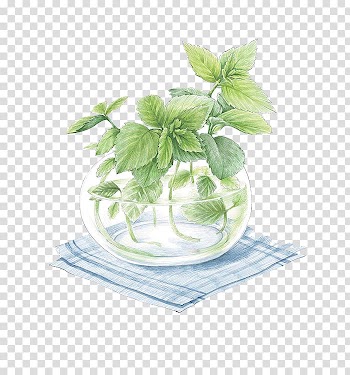 Colored pencil Sketchbook Watercolor painting, vase transparent background PNG clipart
