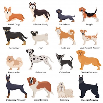 Colored purebred dogs icon set Free Vector