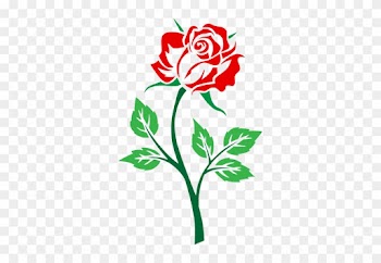 Colored Rose - Roses Clipart No Background