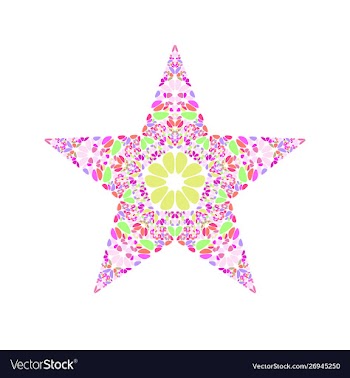 Colorful abstract floral ornament star symbol vector image