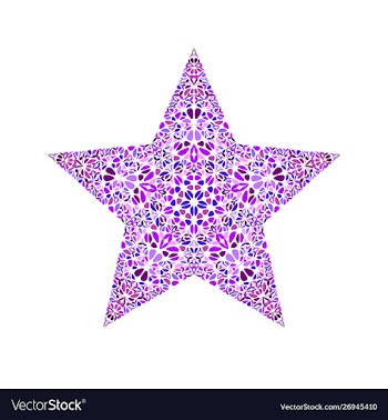Colorful abstract floral ornament star symbol vector image