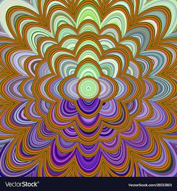 Colorful abstract flower mandala design vector image