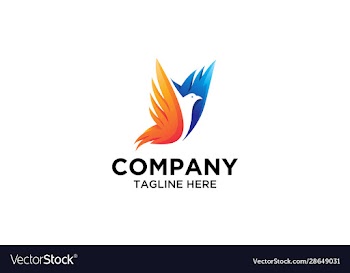 colorful abstract flying bird wing logo