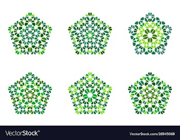 Colorful abstract geometrical flower pentagon vector image