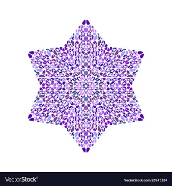 Colorful abstract geometrical isolated petal star vector image