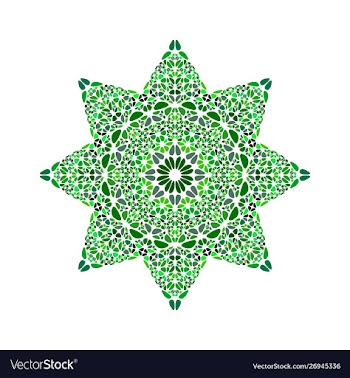 Colorful abstract geometrical petal ornament star vector image