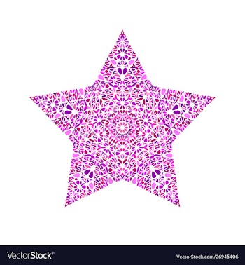 Colorful abstract isolated floral ornament star vector image