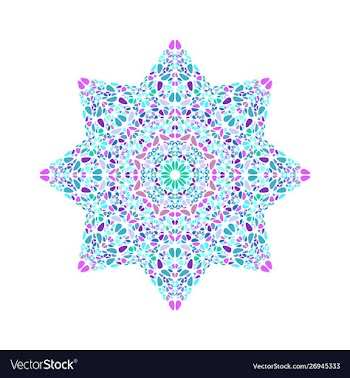 Colorful abstract isolated flower ornament star vector image