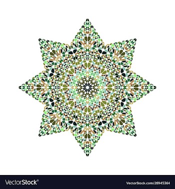 Colorful abstract isolated flower ornament star vector image