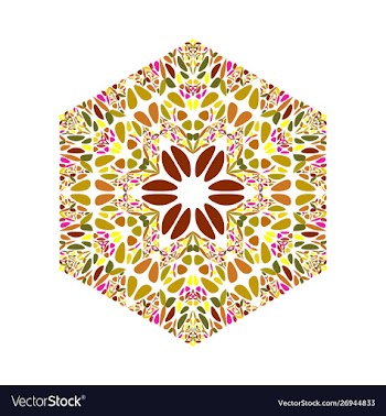 Colorful abstract ornate geometrical floral vector image