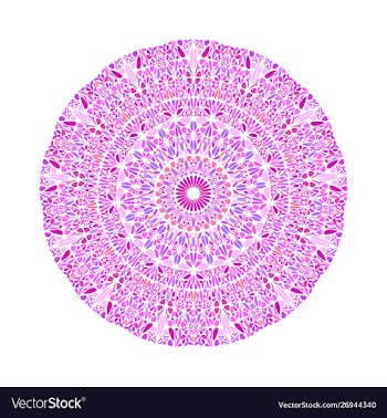Colorful abstract round floral ornament pattern vector image