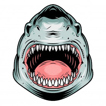 Colorful aggressive shark head concept Free Vector