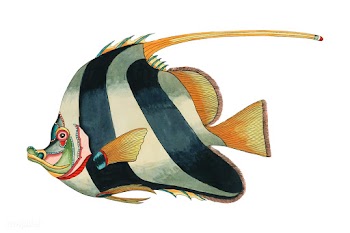 Colorful and surreal illustrations of fishes .. | Free stock vector - 471489
