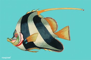 Colorful and surreal illustrations of fishes .. | Free stock vector - 471518