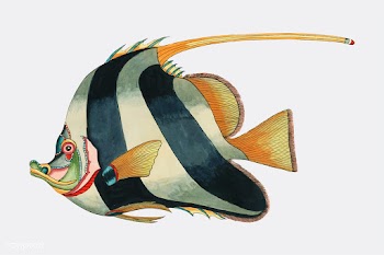 Colorful and surreal illustrations of fishes .. | Free stock vector - 471525