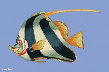 Colorful and surreal illustrations of fishes .. | Free stock vector - 471528