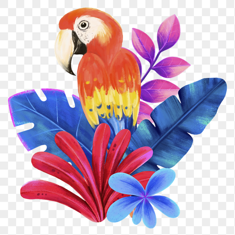 Colorful bird png sticker, cute | Free PNG Illustration - rawpixel