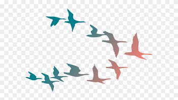 Colorful Birds Flying Clipart