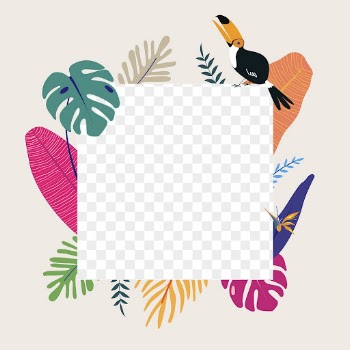 Colorful botanical frame png with tropical | Free PNG - rawpixel