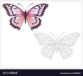 colorful butterfly art for kids coloring